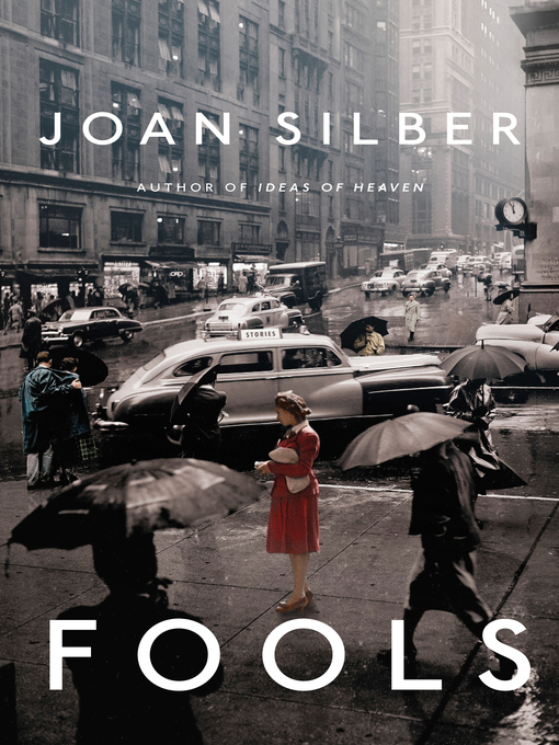 Title details for Fools by Joan Silber - Available